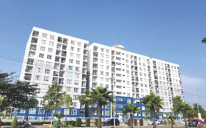 Biến tướng nhà ở xã hội (KỲ II): Trách nhiệm thuộc về ai?