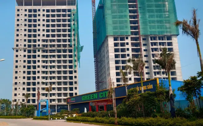 Cổ phiếu của Tập đoàn Tiến Bộ đã mất giá như FTM