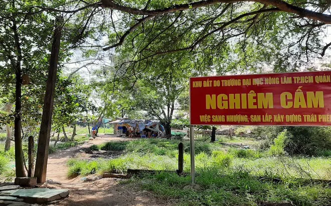 Ngang nhiên xây dựng không phép trên đất có quy hoạch tại TPHCM