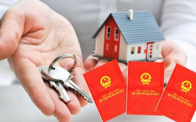 Tp.HCM có hơn 15.000 hồ sơ xếp hàng dài chờ cấp sổ đỏ