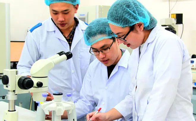 Xếp hạng đại học mang lại nhiều lợi ích