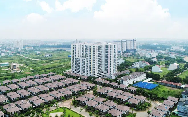 CEO EZ Land Việt Nam: “Phủ xanh” toàn bộ danh mục đầu tư