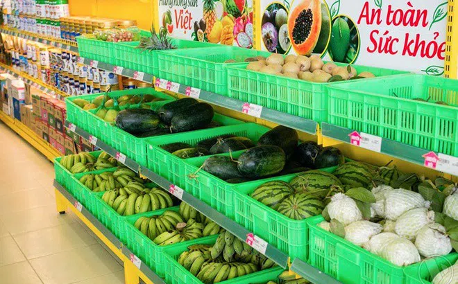 Năm 2020, Bách Hóa Xanh sẽ tiếp tục lỗ ròng?