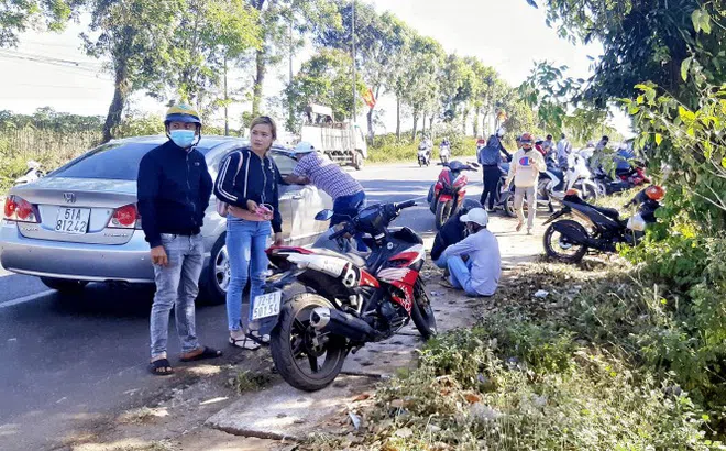 Bà Rịa – Vũng Tàu: Dự án còn đang trên giấy, người dân rầm rộ đi mua đất ở huyện Châu Đức