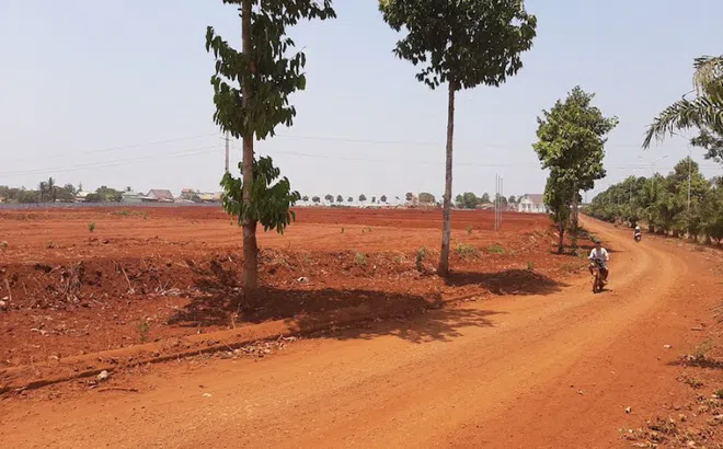 Bình Phước: 19 ha đất cụm công nghiệp bị “phù phép” thành dự án Mỹ Lệ Capital