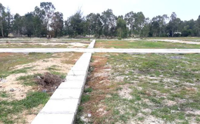 Đề xuất bỏ tách thửa đất nông nghiệp: Tránh “cò đất” làm càn