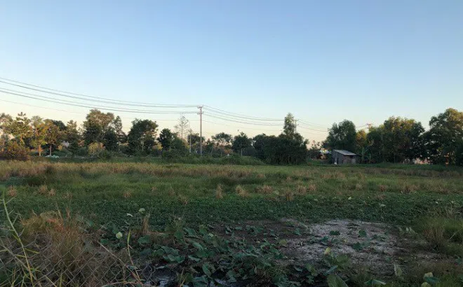 Dự án treo ở huyện Cần Giuộc, Long An: Dân khốn khổ trăm bề!