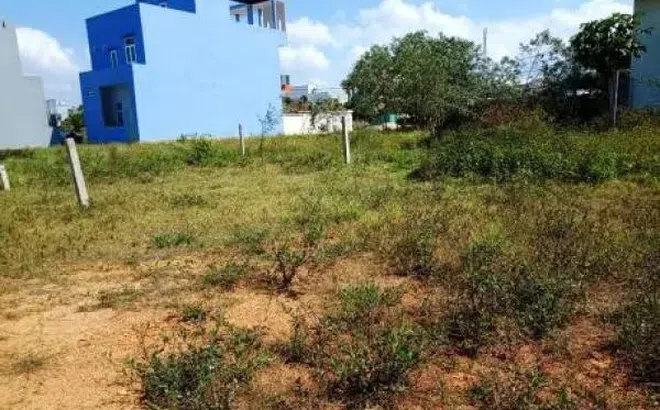 Nhiều doanh nghiệp sử dụng đất không đúng mục đích