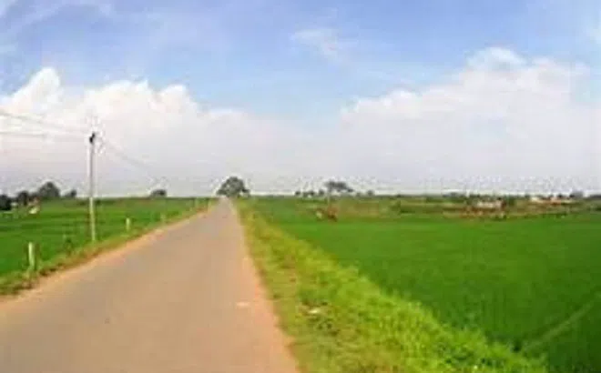 HoREA kiến nghị “cấm” tách thửa đất nông nghiệp