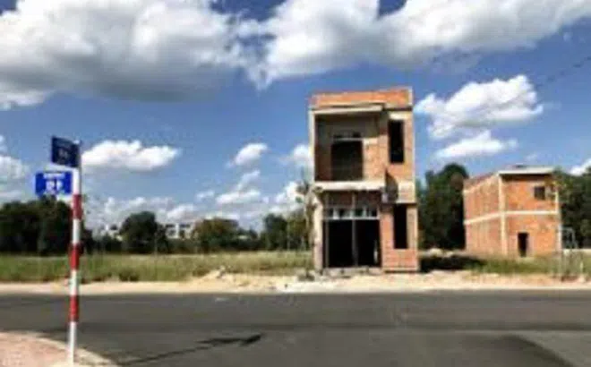 Bình Dương: Kiến nghị thu hồi đất công bị phân lô bán nền trái phép