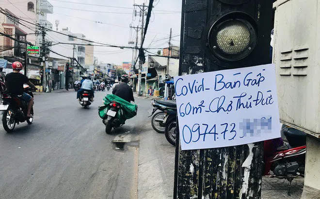 Bán tháo, cắt lỗ sốc 1 tỷ đồng mùa dịch: Cẩn thẩn sập bẫy cò môi giới!