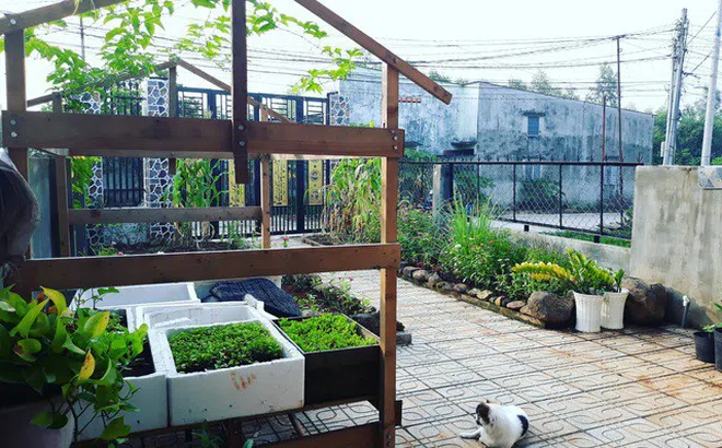 Tiết kiệm 100 triệu, vợ chồng trẻ ở Đồng Nai bỏ phố về quê “đào ao, thả cá”