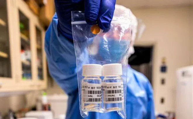 Tin vui về vaccine Covid-19