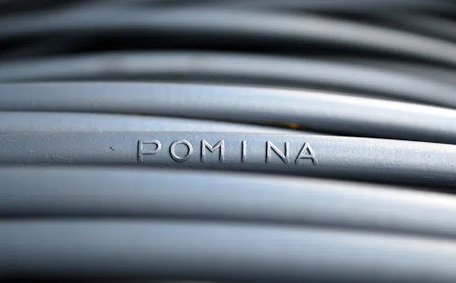Vì sao Pomina lỗ 309 tỷ trong năm 2019?