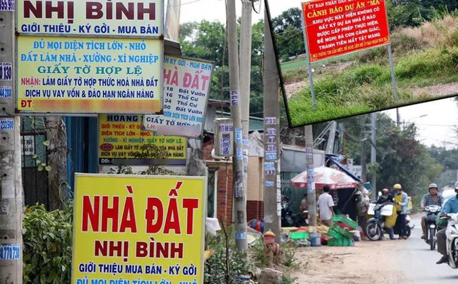 Bộ Xây dựng: “Cò” đất và giới đầu cơ làm bất ổn thị trường BĐS