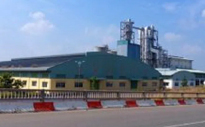 Dự án nhà máy giấy Phương Nam bán không ai mua