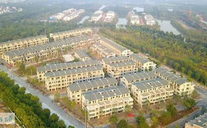 Phạt Sago Palm Garden: Khách gặp rủi ro mất trắng?