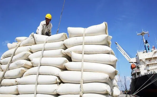 Giá gạo Việt Nam cao nhất trong vòng 1 năm