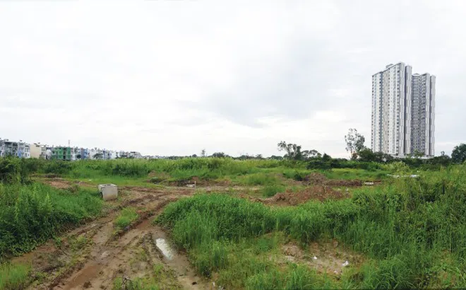 Quy trình thực hiện dự án mới: Bình mới, rượu cũ