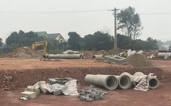 Chưa được giao đất, chủ đầu tư dự án Canary City đã ký hợp đồng ‘bán nhà trong tương lai’