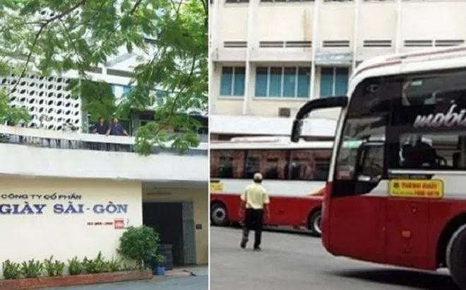TP.HCM duyệt điều chỉnh quy hoạch khu ‘đất vàng’ hơn 10.000m2 mà Giày Sài Gòn lắt léo hợp tác kinh doanh với Nhà xe Thành Bưởi
