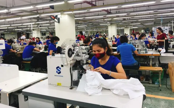 Lợi nhuận trong tháng 5 của TNG giảm 33% so cùng kỳ
