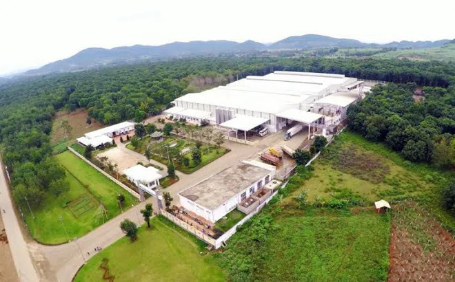 Bất động sản công nghiệp Việt Nam là sự lựa chọn hợp lý cho nhà đầu tư nước ngoài