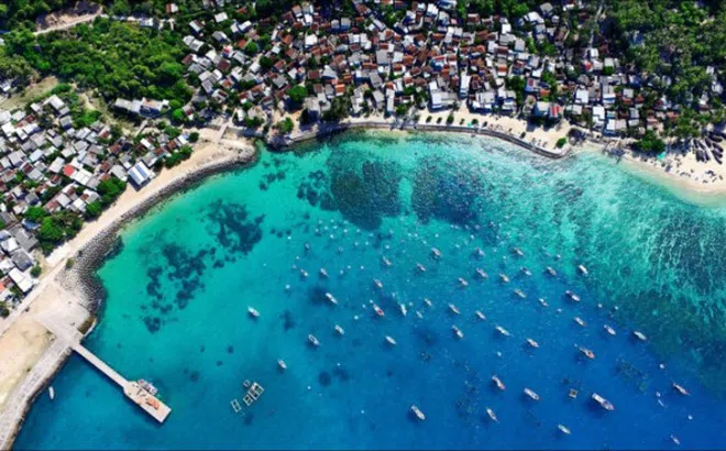 Bình Định: “Khai tử” và rà soát hai dự án liên quan đến tỷ phú Trịnh Văn Quyết