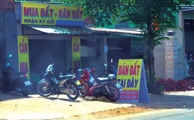 Cò đất lại đổ về Đồng Nai