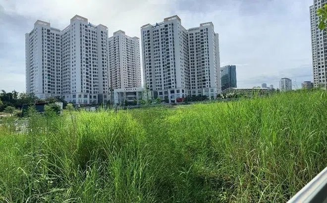 Cty Vigeba bị truy thu 35 tỷ đồng tiền sử dụng đất sai phạm mục đích