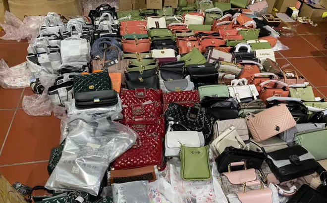 Đột kích kho hàng lậu giả mạo Gucci, Chanel, Adidas rộng hơn 10.000 m2 ở TP Lào Cai