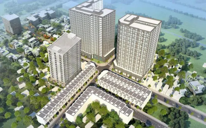 Bình Dương: Không có tên dự án Alva Plaza trong danh mục được cấp phép.