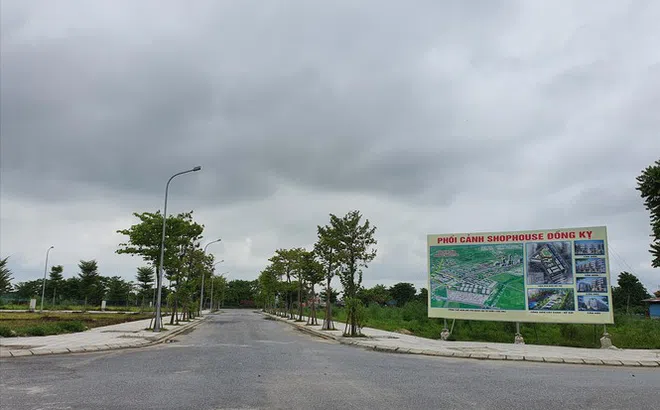 Tin quảng cáo, người mua nhà nhận ‘trái đắng’