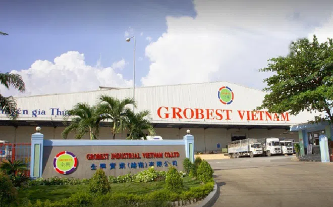 Bán cao hơn giá kê khai, công ty Grobest Industrial bị phạt gần 250 triệu đồng