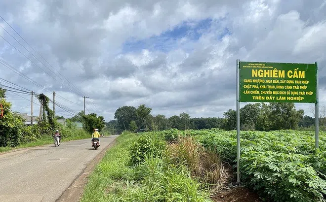 Bất động sản “đứng hình” vì Covid-19, cò đất vẫn tung chiêu tạo “sốt ảo”