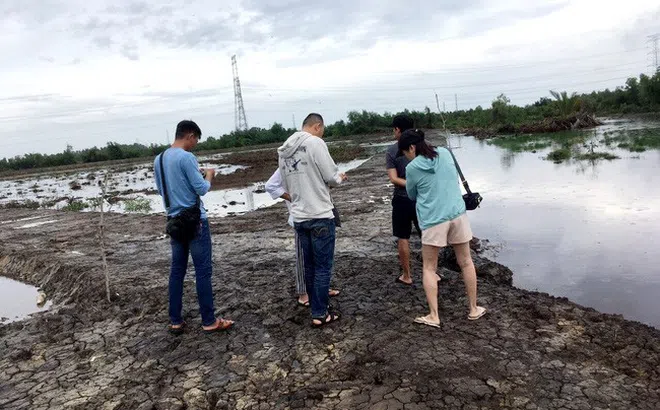 Bỏ ra 600 triệu đồng mua miếng đất "đồng không mông quạnh" ở Nhơn Trạch, sau 3 năm nhà đầu tư này bán ra lời gấp gần 20 lần