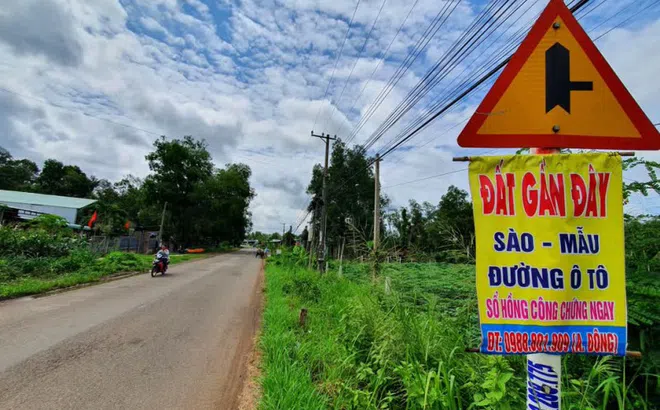 Thị trường đất nền Long Thành ảm đạm mùa COVID-19