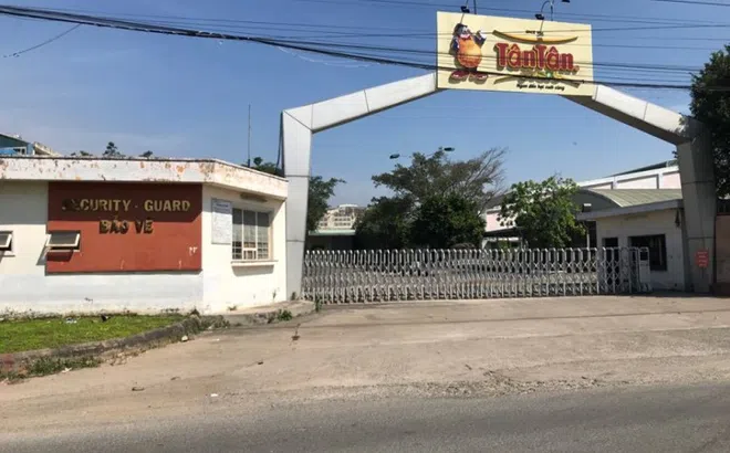 “Trần ai” đòi quyền lợi vì bị Công ty đậu phộng Tân Tân “quỵt” lương nhiều tháng