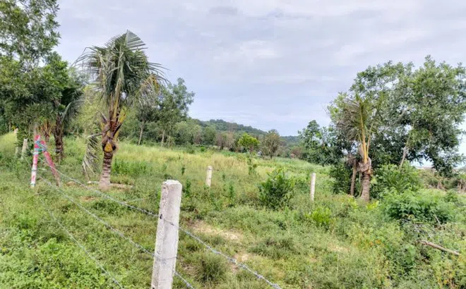 Ngang nhiên phá rừng, lấn biển ở Phú Quốc