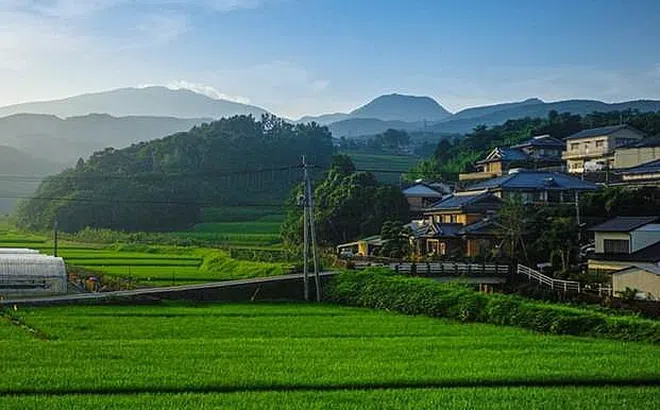 Bỏ phố về quê: Xu hướng thế giới mùa Covid-19