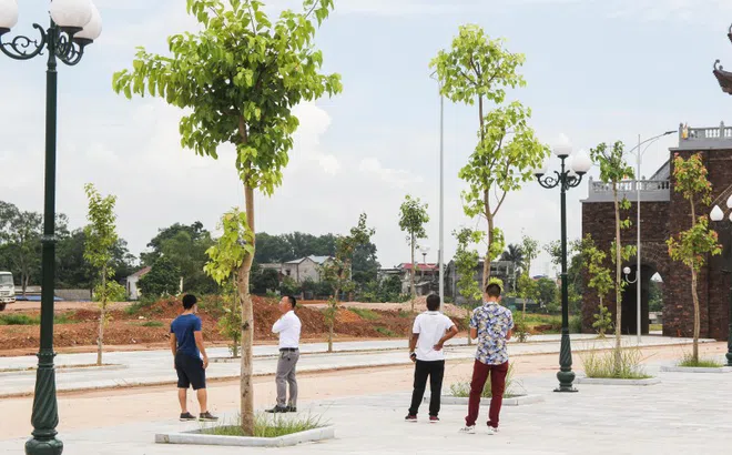 Thời cơ để đầu tư bất động sản đã đến