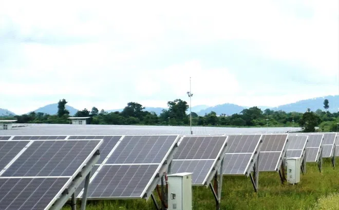 Dự án điện mặt trời lấn 247,7 ha rừng tự nhiên: Chủ doanh nghiệp “đòi” tỉnh khen