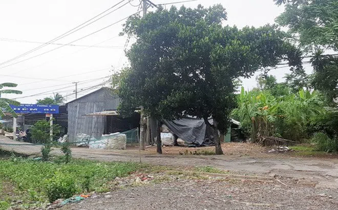 Trả đủ 2,5 tỷ nhưng không nhận được tài sản trúng đấu giá ở Hậu Giang: Hồ sơ thi hành án sai "rất trầm trọng"