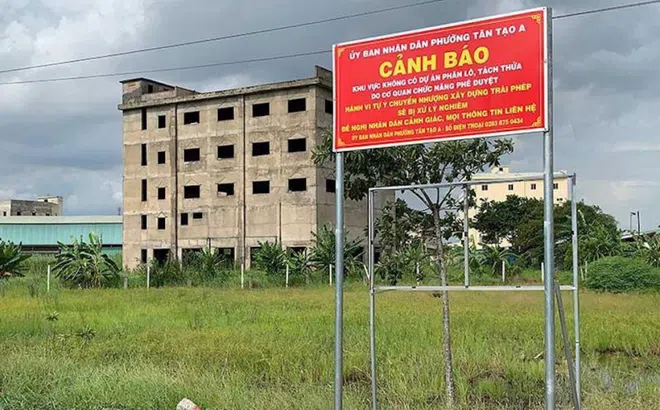 Khởi tố, bắt khẩn cấp giám đốc Công ty Năm Tài