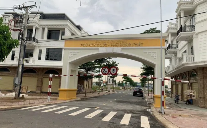 Vụ sai phạm tại 4 Công ty của đại gia Phạm Thị Hường: Thanh tra Chính phủ nói gì?