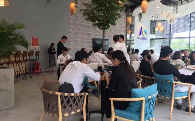 Có nên mua D-Aqua? Câu trả lời khiến nhiều người ngán ngẩm