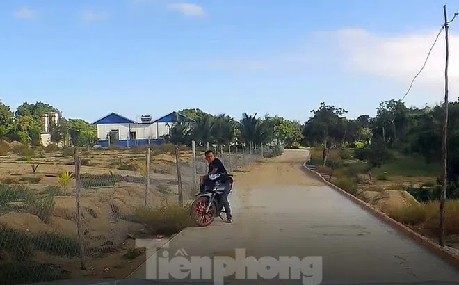 Khánh Hoà: Núi Hàm Rồng tiếp tục bị 'cày xới' để xây dựng trái phép