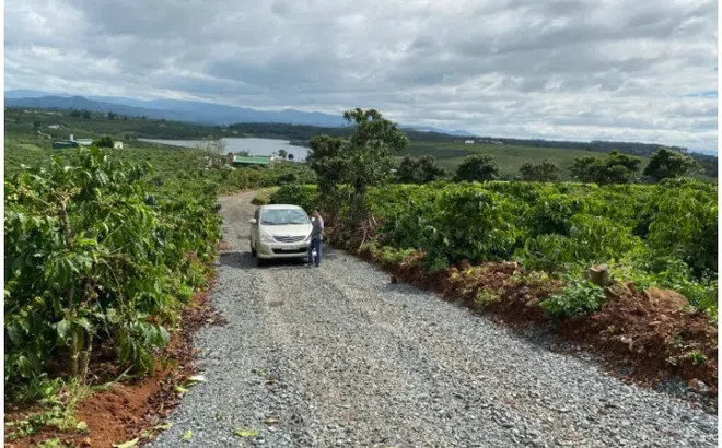 Bài 1: Hàng chục “dự án” ngoài quy hoạch của Phú Điền Land “mọc như nấm” giữa đại ngàn