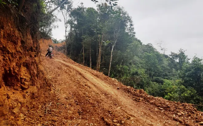 Ngang nhiên mở đường, phá rừng tự nhiên ở Bắc Kạn