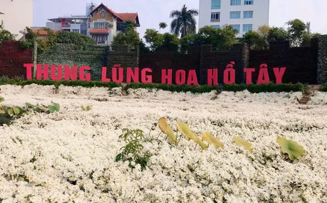 Sai phạm đất đai tràn lan ở 'Thung lũng hoa Hồ Tây'